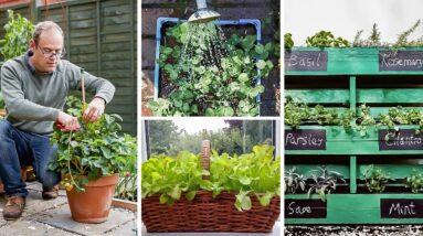 Clever Ways to Grow in Small Spaces: Container Vegetable Gardening for Beginners